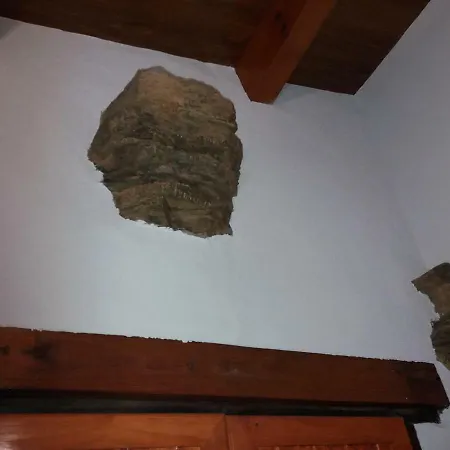 Casa Xeada ゲストハウス ロウレンサー